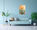Sun-Kissed Monstera Delight
