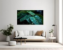 Emerald Droplets