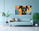 Canine Gaze in Technicolor