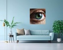 The Window to the Soul