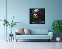 Celestial Adornment