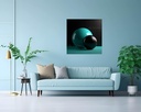 Spheres of Serenity