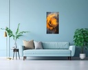 Solar Vortex