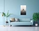 Celestial Symmetry
