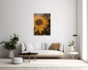 Sunburst Mosaic