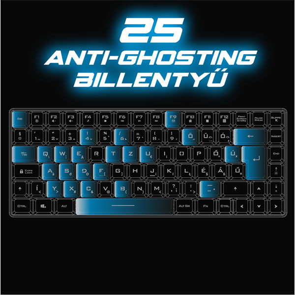 Spirit of gamer billentyűzet vezeték nélküli - elite k70 (tkl, 85 gomb,, rgb led,usb, anti-ghost, fekete, magyar)