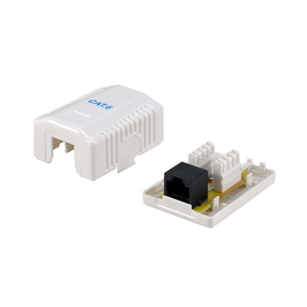 Equip fali aljzat - 235213 (1 port, cat6, utp, fehér)