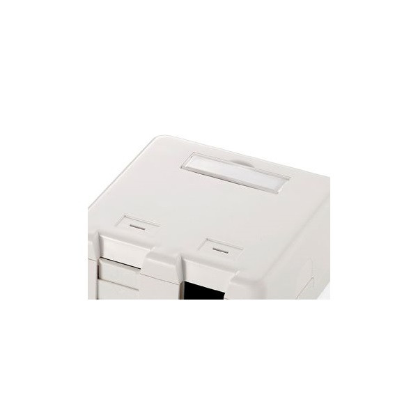 Equip keystone fali aljzat - 125122 (2 port, cat5e/cat6/cat6a, árnyékolatlan, porvédő, fehér)