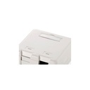 Equip keystone fali aljzat - 125122 (2 port, cat5e/cat6/cat6a, árnyékolatlan, porvédő, fehér)