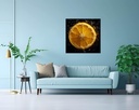 Citrus Splash