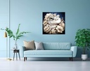 Floral Amphibian Dream