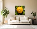 Dew-Kissed Citrus