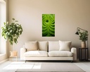 Emerald Spiral