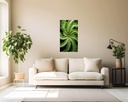 Verdant Spiral Wonders