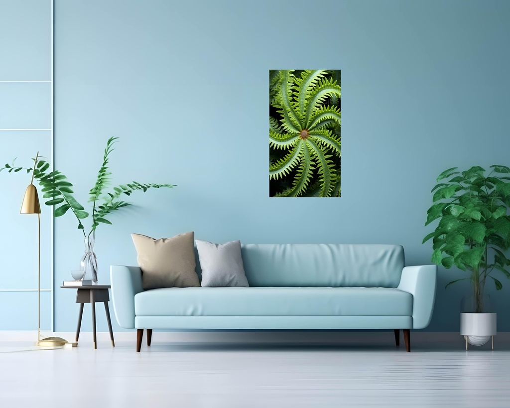Verdant Spiral Wonders