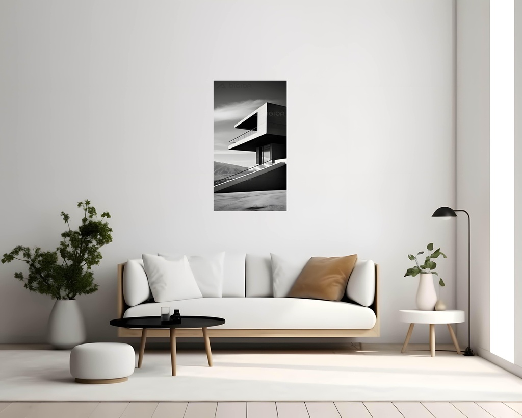Monochrome Modernity