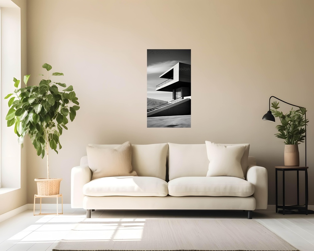 Monochrome Modernity