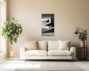 Monochrome Modernity