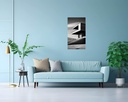 Monochrome Modernity