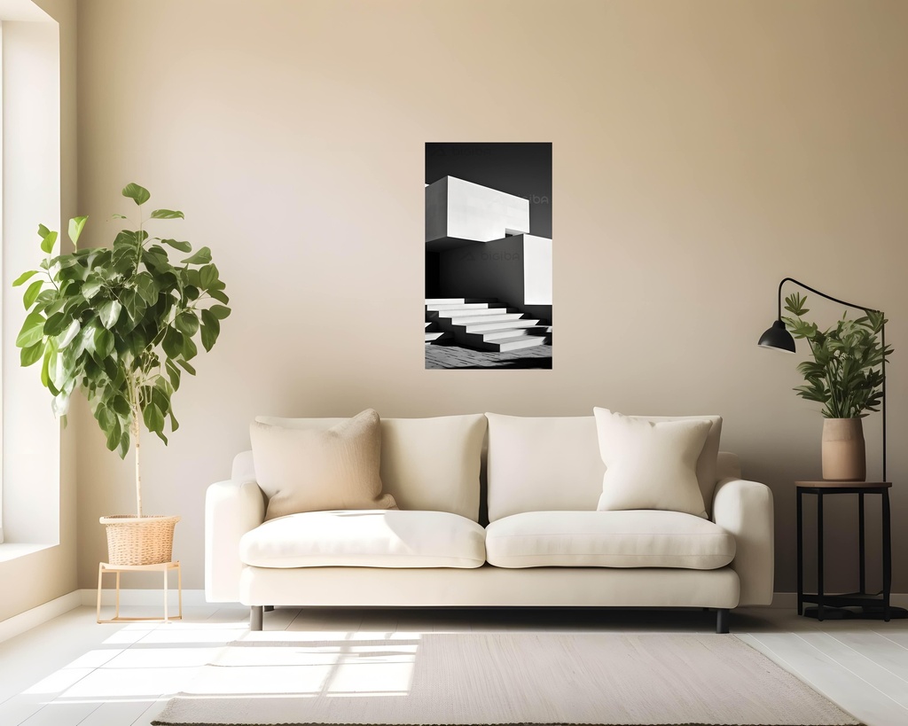 Monochrome Modernity