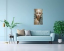 Fragments of Serenity