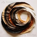 Whirls of Time