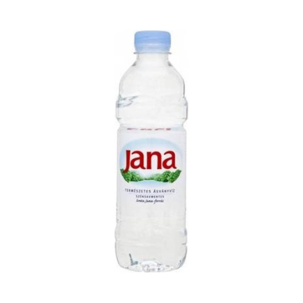 Jana natürliches stilles Mineralwasser 500 ml