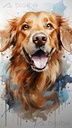 Alegre Canino Splash
