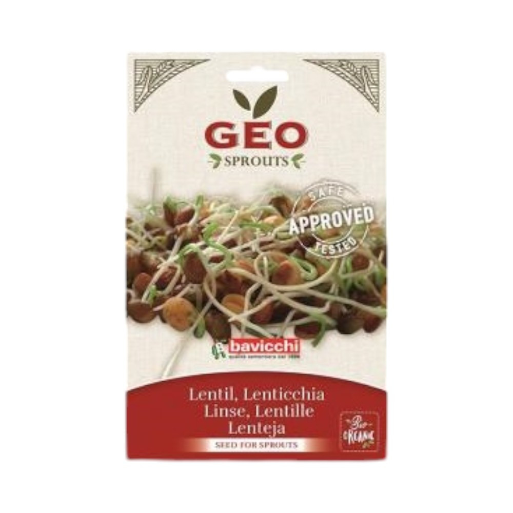 Organic lentil seeds from Bavicchi for sprouting 90 g