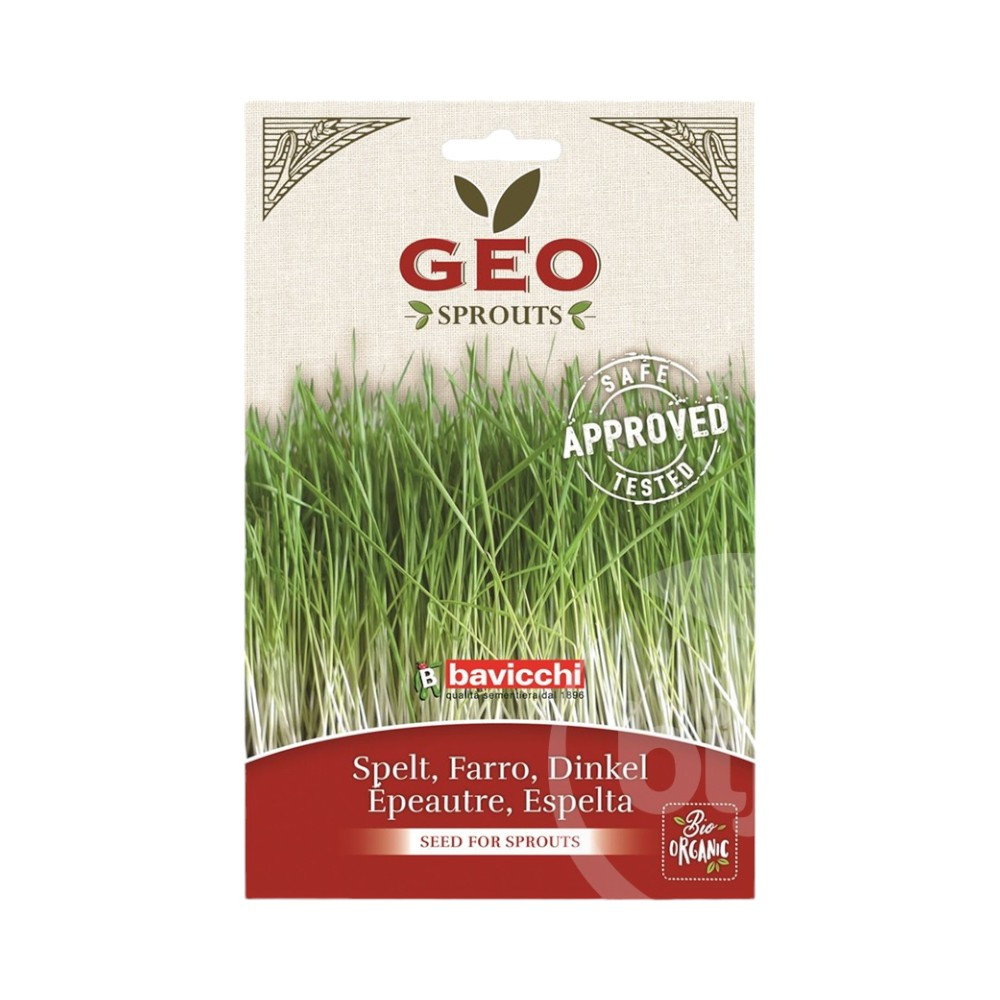 Semincioare de grâu spelt bavicchi bio pentru germinare 80 g