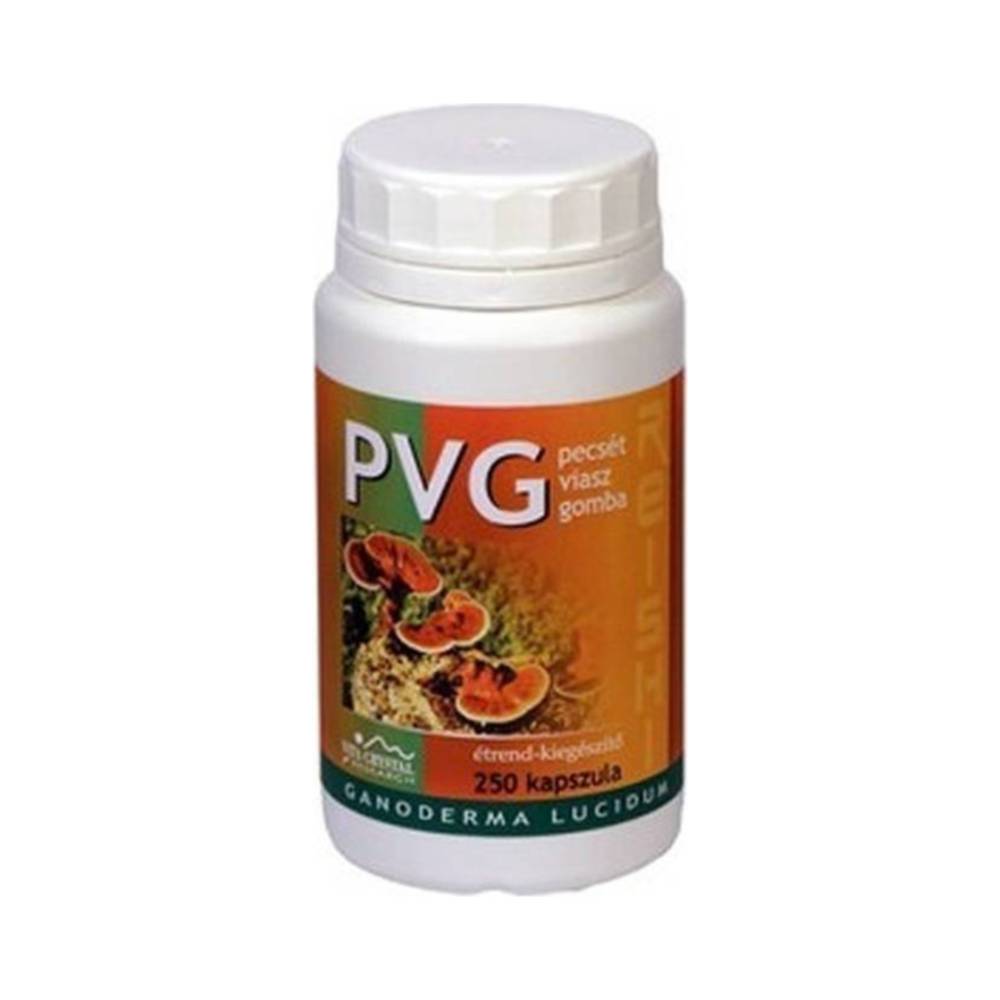 Vita Crystal PVG Reishi-Pilzkapsel 250 Stk.