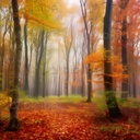 Autumnal Dreamscape