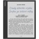 Pocketbook e-reader pb1042-m-ww inkpad  eo szürke (10,3" e-ink kaleido, auto. háttérv., 2,3ghz,64gb,4000mah,wifi, bt)