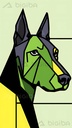 Canine Contours