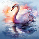 Serenity Swirl