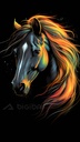 Cosmic Mane
