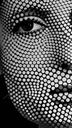 Mosaic of Perception