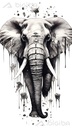 Elephantine Enigma