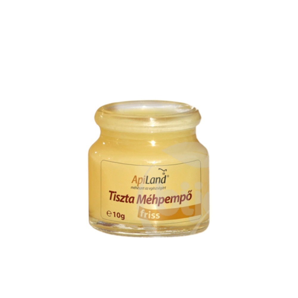 Apiland reiner frischer Bienenpollen 10 g