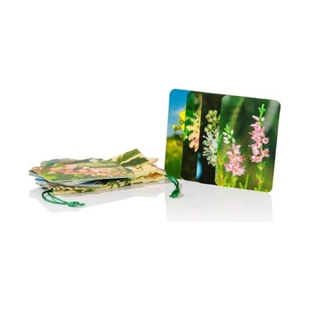 Set de cărți cu terapie florală Bach Essence 1 buc.