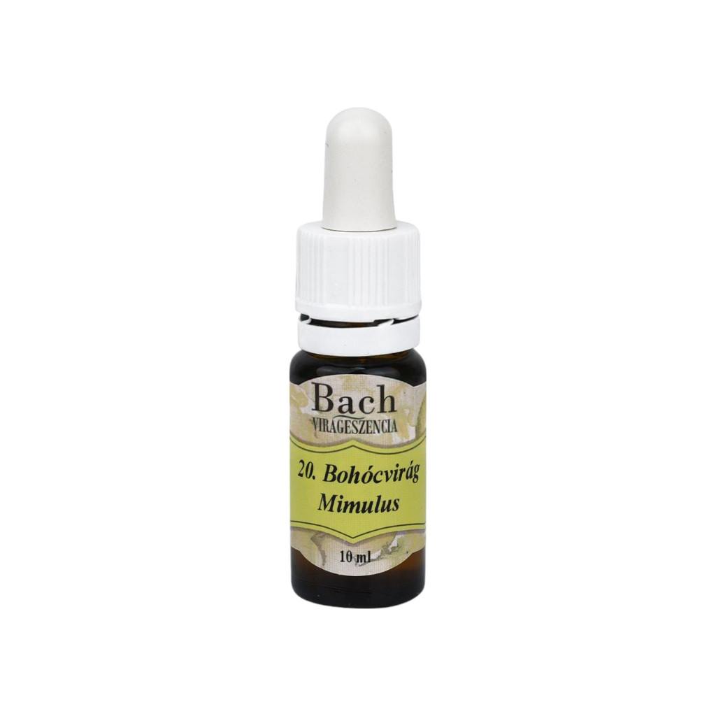 Bach flower essence 10 ml with wild rose