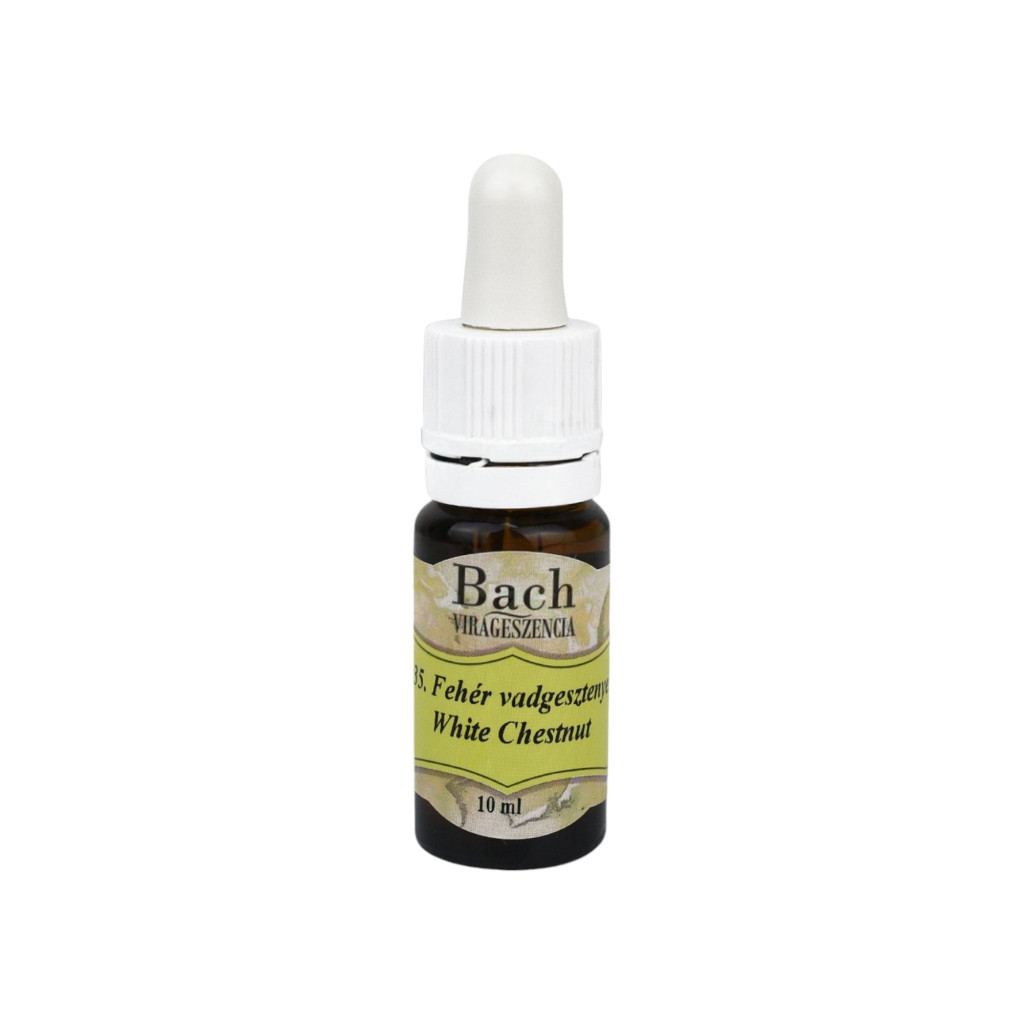 Bach-Weiße Kastanienblütenessenz 10 ml