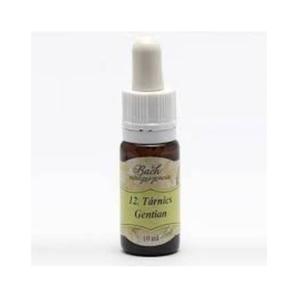Ekstrakt z kwiata Bacha tańcicy 10 ml