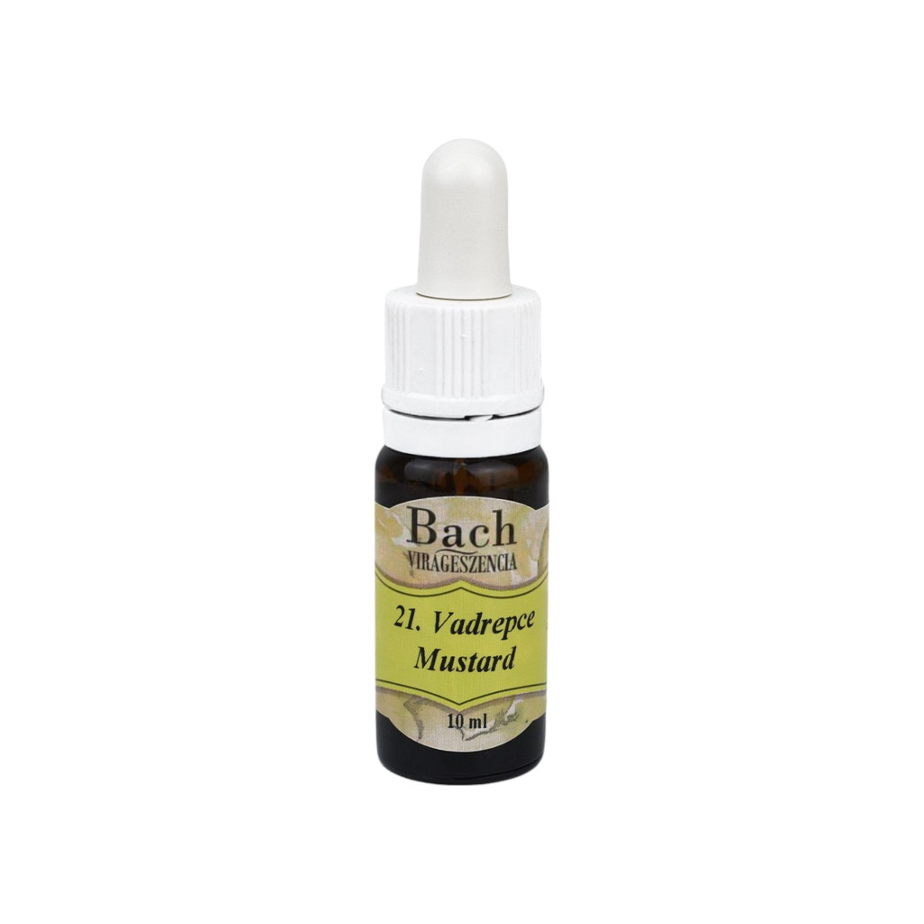 Bach flower essence wild radish 10 ml