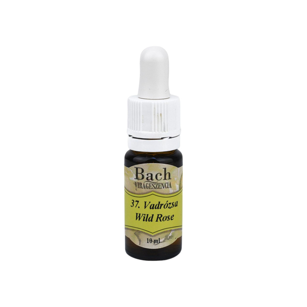 Bach flower essence Wild Rose 10 ml
