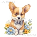 Charming Canine Elegance