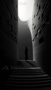 Susurros de luz