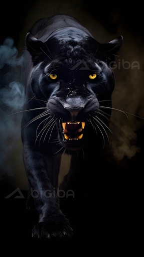 Mitternachtsschleich